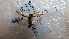  ( - NIBGE MOT-02378)  @12 [ ] CreativeCommons - Attribution Non-Commercial Share-Alike (2012) Muhammad Ashfaq National Institute for Biotechnology and Genetic Engineering Faisalabad Pakistan