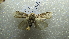  ( - NIBGE MOT-02475)  @13 [ ] CreativeCommons - Attribution Non-Commercial Share-Alike (2012) Muhammad Ashfaq National Institute for Biotechnology and Genetic Engineering Faisalabad Pakistan