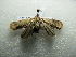  ( - NIBGE MOT-02710)  @12 [ ] CreativeCommons - Attribution Non-Commercial Share-Alike (2012) M. Sajjad Mirza National Institute for Biotechnology and Genetic Engineering Faisalabad Pakistan
