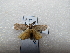  ( - NIBGE MOT-02828)  @13 [ ] CreativeCommons - Attribution Non-Commercial Share-Alike (2012) M. Sajjad Mirza National Institute for Biotechnology and Genetic Engineering Faisalabad Pakistan