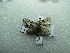  ( - NIBGE MOT-02897)  @12 [ ] CreativeCommons - Attribution Non-Commercial Share-Alike (2012) M. Sajjad Mirza National Institute for Biotechnology and Genetic Engineering Faisalabad Pakistan