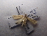  ( - NIBGE MOT-03347)  @12 [ ] CreativeCommons - Attribution Non-Commercial Share-Alike (2013) S. Mirza National Institute for Biotechnology and Genetic Engineering Faisalabad Pakistan
