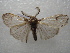  ( - NIBGE MOT-01094)  @13 [ ] CreativeCommons - Attribution Non-Commercial Share-Alike (2011) Muhammad Ashfaq National Institute for Biotechnology and Genetic Engineering Faisalabad Pakistan