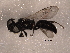  ( - BIOUG02373-C03)  @12 [ ] CreativeCommons - Attribution (2012) Muhammad Ashfaq Centre for Biodiversity Genomics