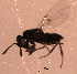  ( - BIOUG02400-G02)  @12 [ ] CreativeCommons - Attribution (2012) Muhammad Ashfaq Centre for Biodiversity Genomics