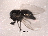  ( - BIOUG02432-G03)  @12 [ ] CreativeCommons - Attribution (2012) Muhammad Ashfaq Centre for Biodiversity Genomics