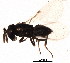  ( - BIOUG02436-D06)  @12 [ ] CreativeCommons - Attribution (2012) Muhammad Ashfaq Centre for Biodiversity Genomics