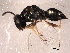  ( - BIOUG02448-B07)  @14 [ ] CreativeCommons - Attribution (2012) Muhammad Ashfaq Centre for Biodiversity Genomics