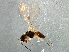  ( - BIOUG02448-F03)  @12 [ ] CreativeCommons - Attribution (2013) CBG Photography Group Centre for Biodiversity Genomics