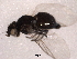  ( - BIOUG02529-B04)  @12 [ ] CreativeCommons - Attribution (2012) Muhammad Ashfaq Centre for Biodiversity Genomics