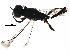  ( - BIOUG02378-E03)  @12 [ ] CreativeCommons - Attribution (2016) CBG Photography Group Centre for Biodiversity Genomics