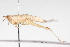  ( - BIOUG05357-A01)  @13 [ ] CreativeCommons - Attribution (2014) CBG Photography Group Centre for Biodiversity Genomics
