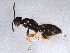  ( - BIOUG04747-A02)  @13 [ ] CreativeCommons - Attribution (2013) CBG Photography Group Centre for Biodiversity Genomics