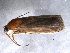  ( - BIOUG05251-E08)  @12 [ ] CreativeCommons - Attribution (2013) Muhammad Ashfaq Centre for Biodiversity Genomics