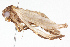  ( - BIOUG05357-A08)  @12 [ ] CreativeCommons - Attribution (2014) CBG Photography Group Centre for Biodiversity Genomics