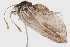  ( - BIOUG05357-B08)  @12 [ ] CreativeCommons - Attribution (2014) CBG Photography Group Centre for Biodiversity Genomics