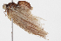  ( - BIOUG05357-B09)  @12 [ ] CreativeCommons - Attribution (2014) CBG Photography Group Centre for Biodiversity Genomics