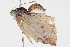  ( - BIOUG05357-B10)  @12 [ ] CreativeCommons - Attribution (2014) CBG Photography Group Centre for Biodiversity Genomics