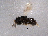  (Gryon - BIOUG04750-G02)  @13 [ ] CreativeCommons - Attribution (2013) Muhammad Ashfaq Centre for Biodiversity Genomics