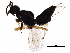  ( - BIOUG04750-H04)  @14 [ ] CreativeCommons - Attribution (2017) CBG Photography Group Centre for Biodiversity Genomics