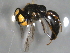  ( - BIOUG04759-G02)  @13 [ ] CreativeCommons - Attribution (2013) CBG Photography Group Centre for Biodiversity Genomics