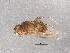  ( - BIOUG05257-D11)  @12 [ ] CreativeCommons - Attribution (2013) Muhammad Ashfaq Centre for Biodiversity Genomics