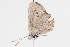  ( - BIOUG05357-D02)  @12 [ ] CreativeCommons - Attribution (2014) CBG Photography Group Centre for Biodiversity Genomics