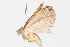  ( - BIOUG05357-D12)  @13 [ ] CreativeCommons - Attribution (2014) CBG Photography Group Centre for Biodiversity Genomics