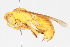  ( - BIOUG05357-E07)  @12 [ ] CreativeCommons - Attribution (2014) CBG Photography Group Centre for Biodiversity Genomics