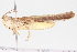  ( - BIOUG05357-G10)  @12 [ ] CreativeCommons - Attribution (2014) CBG Photography Group Centre for Biodiversity Genomics