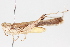  ( - BIOUG05357-H03)  @12 [ ] CreativeCommons - Attribution (2014) CBG Photography Group Centre for Biodiversity Genomics