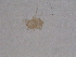  ( - BIOUG15345-F08)  @11 [ ] CreativeCommons - Attribution (2015) Muhammad Ashfaq Centre for Biodiversity Genomics