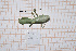  ( - GFMAN18-285)  @11 [ ] Copyright (2023) Nicolas Hausherr Personal Collection of Nicolas Hausherr