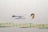  ( - GFMAN18-347)  @11 [ ] Copyright (2024) Nicolas Moulin Research Collection of Nicolas Moulin