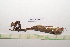  ( - GFMAN18-349)  @11 [ ] Copyright (2024) Nicolas Moulin Research Collection of Nicolas Moulin