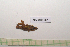  ( - GFMAN18-387)  @11 [ ] Copyright (2024) Nicolas Moulin Research Collection of Nicolas Moulin