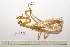  ( - GFMAN18-408)  @11 [ ] Copyright (2024) Nicolas Moulin Research Collection of Nicolas Moulin
