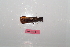  ( - MANGAB15-007)  @11 [ ] Copyright (2015) Nicolas Moulin Research Collection of Nicolas Moulin