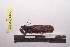  ( - NMMAN11-0345)  @12 [ ] Unspecified (default): All Rights Reserved  Unspecified Unspecified