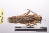  ( - NMMAN11-0415)  @13 [ ] Unspecified (default): All Rights Reserved  Unspecified Unspecified