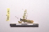  ( - NMMAN11-0500)  @12 [ ] Unspecified (default): All Rights Reserved  Unspecified Unspecified