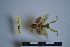  ( - NMMAN11-0064)  @11 [ ] Unspecified (default): All Rights Reserved  Unspecified Unspecified