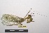 ( - NMMAN11-0862)  @11 [ ] Copyright (2023) Nicolas Moulin Research Collection of Nicolas Moulin