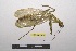  ( - NMMAN11-0863)  @11 [ ] Copyright (2023) Nicolas Moulin Research Collection of Nicolas Moulin