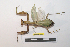  ( - NMMAN11-0933)  @11 [ ] Copyright (2024) Nicolas Moulin Research Collection of Nicolas Moulin