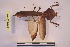  ( - NMMAN11-0097)  @11 [ ] Unspecified (default): All Rights Reserved  Unspecified Unspecified