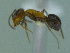  ( - MACN-Bar-Ins-ct 2997)  @13 [ ] Unspecified (default): All Rights Reserved  Unspecified Unspecified