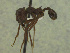  ( - MACN-Bar-Ins-ct 3299)  @11 [ ] Unspecified (default): All Rights Reserved  Unspecified Unspecified