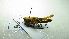  ( - NIBGE ORT-01287)  @13 [ ] CreativeCommons - Attribution Non-Commercial Share-Alike (2012) Muhammad Ashfaq National Institute for Biotechnology and Genetic Engineering Faisalabad Pakistan
