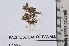  ( - PHYKOS-4594)  @11 [ ] Copyright (2012) Brian Wysor Roger Williams University